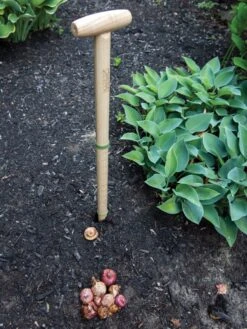 Wicked Big Dibber -Eco Garden Shop 8612667 0028