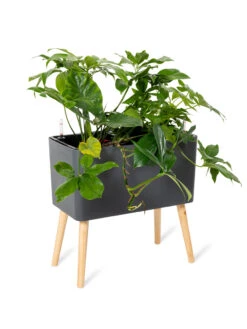 Ava Self-Watering Rectangular Planter -Eco Garden Shop 8612691 0013