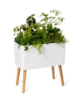 Ava Self-Watering Rectangular Planter -Eco Garden Shop 8612691 0014