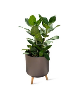 Ava Self-Watering Round Planter -Eco Garden Shop 8612692 0003