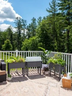 Self-Watering Standing Salad Planter With Cloche -Eco Garden Shop 8612702 2002 tif