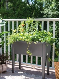Self-Watering Standing Salad Planter With Cloche -Eco Garden Shop 8612702 2015 tif