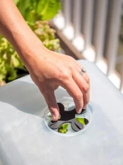 Self-Watering Standing Salad Planter With Cloche -Eco Garden Shop 8612702 2034 tif