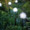 Dandelion Solar Stake -Eco Garden Shop 8612713 7149 dandelion solar stake