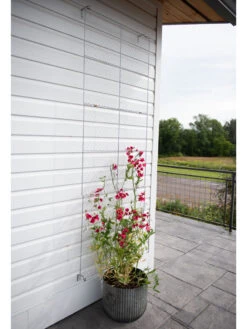 Chicken Wire Wall Trellis -Eco Garden Shop 8612717 0081