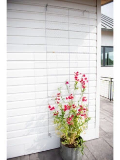 Chicken Wire Wall Trellis -Eco Garden Shop 8612717 0093
