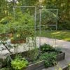 Chicken Wire Pea Trellis -Eco Garden Shop 8612718 7313 chicken wire pea trellis