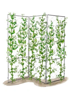 Chicken Wire Pea Trellis -Eco Garden Shop 8612718 peatrellis art chicken wire pea trellis