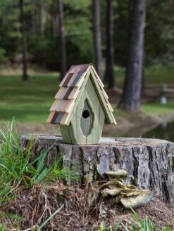 Vintage Wren Bird House -Eco Garden Shop 8612783 02v