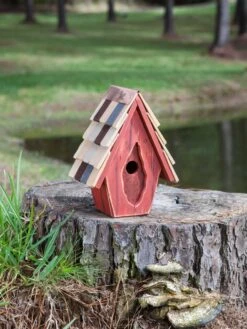 Vintage Wren Bird House -Eco Garden Shop 8612783 03v