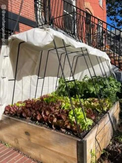 Cotton All Purpose Garden Cover -Eco Garden Shop 8612816 01CUST