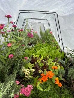 All-Purpose Garden Fabric 14 All-Purpose Garden Fabric -Eco Garden Shop 8612816 01TEST