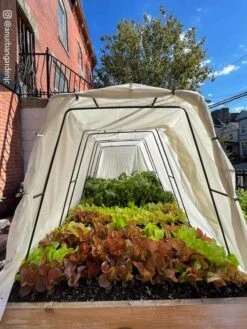 Cotton All Purpose Garden Cover -Eco Garden Shop 8612816 03CUST