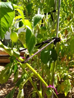 Farmyarn® Multipurpose Garden Tie, 2 Pack 16 Farmyarn® Multipurpose Garden Tie, 2 Pack -Eco Garden Shop 8612948 02v