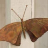 Butterfly Wall Décor -Eco Garden Shop 8612951 01v