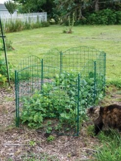 6 Panel Critter Fence With Gate -Eco Garden Shop 8612967 2570 tif
