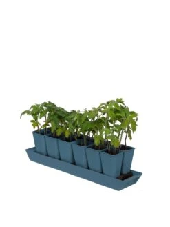 Gardener's Best® XL Seed Starting Kit -Eco Garden Shop 8613066 0029