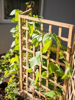 Bamboo Zig-Zag Trellis 24" X 36" -Eco Garden Shop 8613151 6467