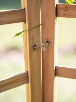 Bamboo Zig-Zag Trellis 24" X 36" -Eco Garden Shop 8613151 6483