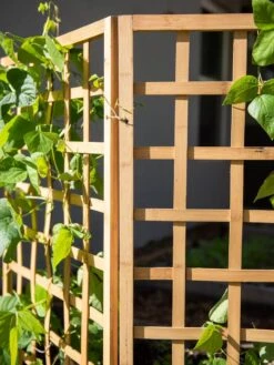 Bamboo Zig-Zag Trellis 24" X 36" -Eco Garden Shop 8613151 6491