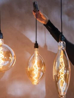 Retro Essence™ Vintage LED Light Bulbs -Eco Garden Shop 8613229 7066