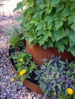 Birdies™ Corten Steel Tiered Round Raised Bed Kit, Tall -Eco Garden Shop 8613245 0195