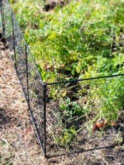 Chicken Wire Critter Fence, 16" High -Eco Garden Shop 8613249 0309