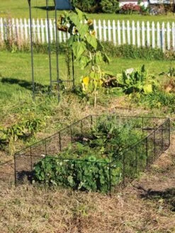 Chicken Wire Critter Fence, 16" High -Eco Garden Shop 8613249 0329