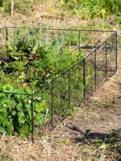 Chicken Wire Critter Fence, 16" High -Eco Garden Shop 8613249 0336