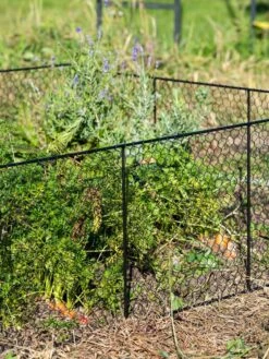 Chicken Wire Critter Fence, 16" High -Eco Garden Shop 8613249 0352