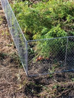 Chicken Wire Critter Fence, 16" High -Eco Garden Shop 8613249 0358
