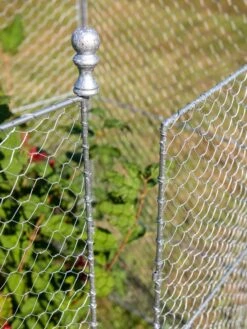 Tall Chicken Wire Critter Fence With Gate -Eco Garden Shop 8613260 0083 1