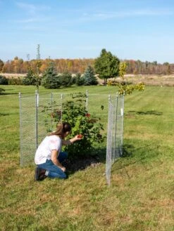 Tall Chicken Wire Critter Fence Extension Panel, Set Of 2 -Eco Garden Shop 8613260 0090