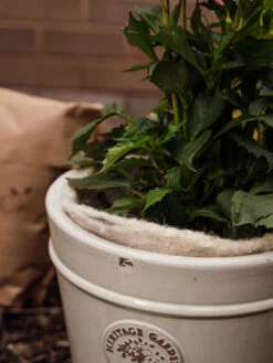 Hortiwool ®, 5 Pad Pack -Eco Garden Shop 8613263 17v