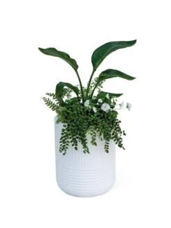 Arden Round Planter -Eco Garden Shop 8613267 0115