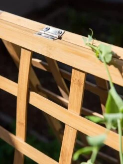 Bambo A Frame Plant Support, 30" X 42.5" 15 Bambo A Frame Plant Support, 30" X 42.5" -Eco Garden Shop 8613310 6525