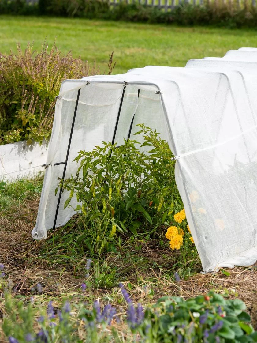 All-Purpose Garden Fabric 7 All-Purpose Garden Fabric - Image 5