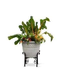 Covington Adjustable Plant Stands -Eco Garden Shop 8613347 0119