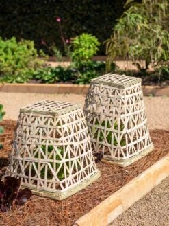 Bamboo Cloche, Set Of 2 -Eco Garden Shop 8613351 0150 bamboo cloche set of 2
