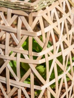 Bamboo Cloche, Set Of 2 -Eco Garden Shop 8613351 0153