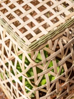 Bamboo Cloche, Set Of 2 -Eco Garden Shop 8613351 0154