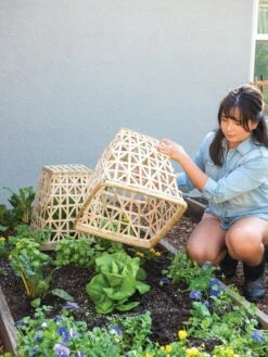 Bamboo Cloche, Set Of 2 -Eco Garden Shop 8613351 6862