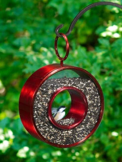 Circle Fly-Thru™ Bird Feeder With A Ruby Red Finish 7 Circle Fly-Thru™ Bird Feeder With A Ruby Red Finish -Eco Garden Shop 8613383 01v
