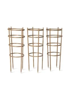 Bamboo Tomato Cages, Set Of 3 -Eco Garden Shop 8613426 4679 bamboo tomato cages 3