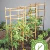 Bamboo Tomato Cages, Set Of 3 -Eco Garden Shop 8613426 7