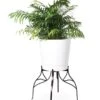 Aubrey Adjustable Plant Stand -Eco Garden Shop 8613454 5716 aubrey adjustable plant stand