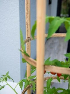 Elevated Bamboo Tomato Planter And Trellis -Eco Garden Shop 8613502 0423