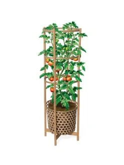 Elevated Bamboo Tomato Planter And Trellis -Eco Garden Shop 8613502 art flat