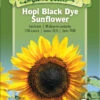 Hopi Black Dye Sunflower Organic Seeds -Eco Garden Shop 8613630 01v hopi black dye sunflower