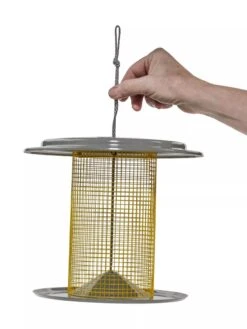Color Pop Sunflower Seed Bird Feeder -Eco Garden Shop 8613785 14V
